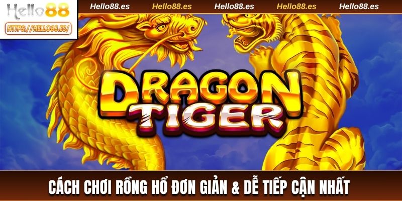 Cách chơi Rồng Hổ đơn giản & dễ tiếp cận nhất