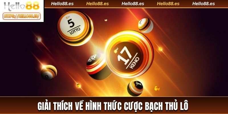 Giải thích về hình thức cược bạch thủ lô
